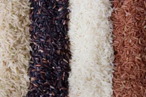 Black rice farming marathi