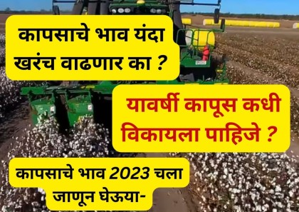 cotton prices futures 2023