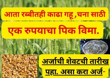 Rabi one rupee crop insurance )